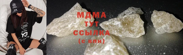 дживик Ельня