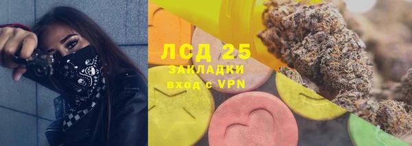 ПСИЛОЦИБИНОВЫЕ ГРИБЫ Елабуга