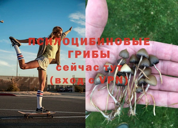 дживик Ельня