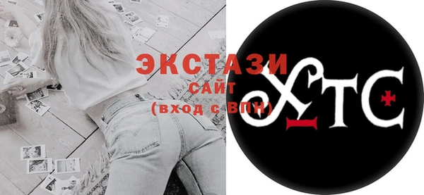 дживик Ельня