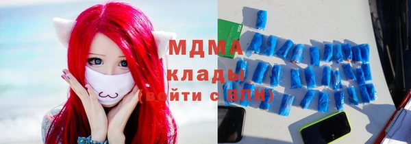 дживик Ельня