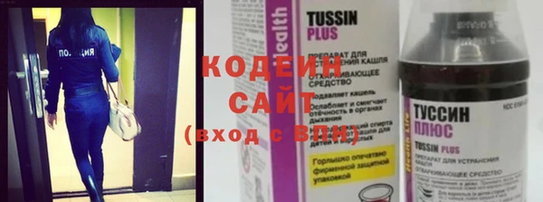 ПСИЛОЦИБИНОВЫЕ ГРИБЫ Елабуга