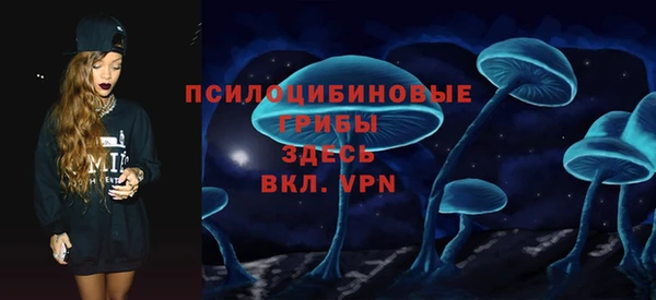 дживик Ельня
