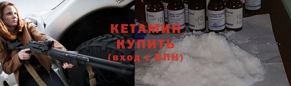 дживик Ельня