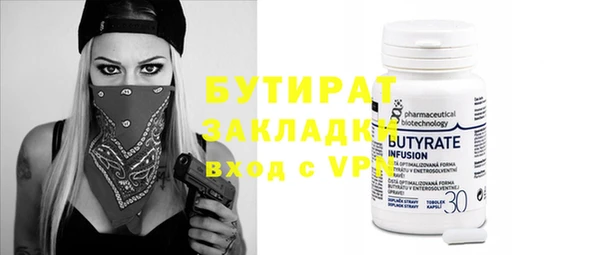 дживик Ельня