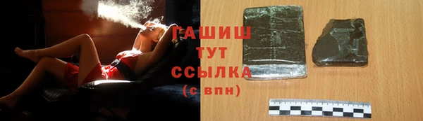 дживик Ельня