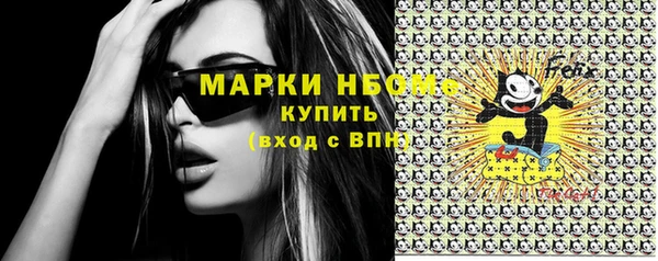 дживик Ельня