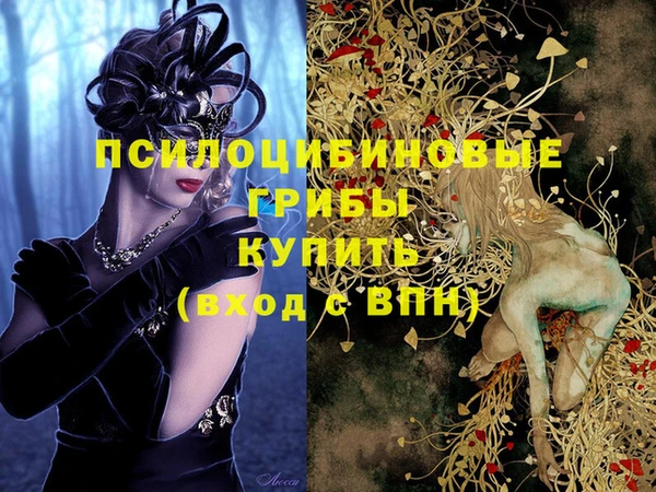 дживик Ельня
