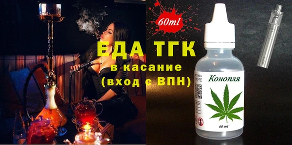 дживик Ельня